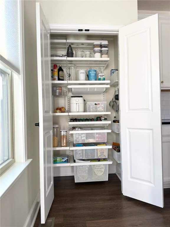 pantry featuring visible vents