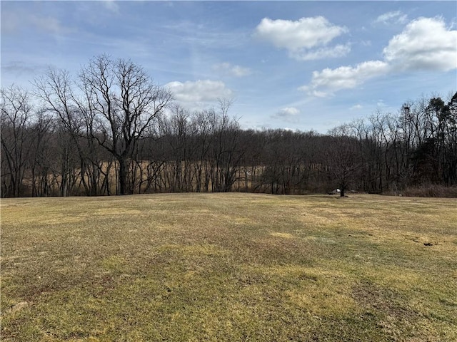 view of local wilderness featuring a view of trees