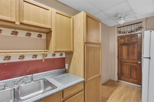 kitchen featuring a drop ceiling, a sink, light wood-style floors, freestanding refrigerator, and light brown cabinetry