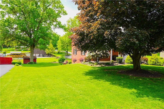 127 Stickle Rd, Chippewa Twp, PA 15010 - view of green lawn