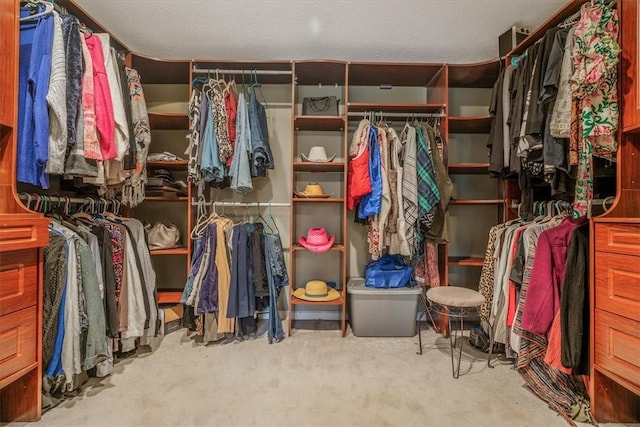 spacious closet with carpet