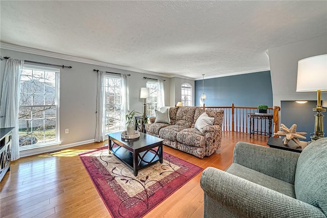 living area with hardwood / wood-style flooring, baseboards, ornamental molding, and a textured ceiling