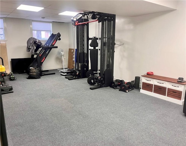 exercise area with a paneled ceiling and carpet