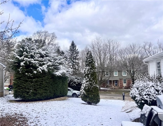 view of snowy yard