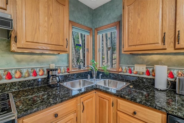 kitchen with stove and a sink