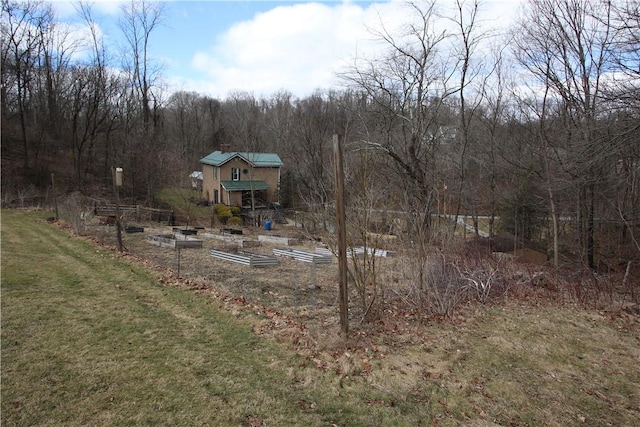 view of yard with a forest view and a garden