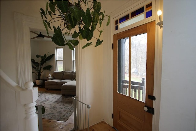 doorway featuring wood finished floors and a wealth of natural light