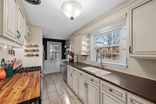 kitchen with stainless steel appliances, plenty of natural light, a sink, and open shelves