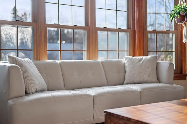 living room with a wealth of natural light