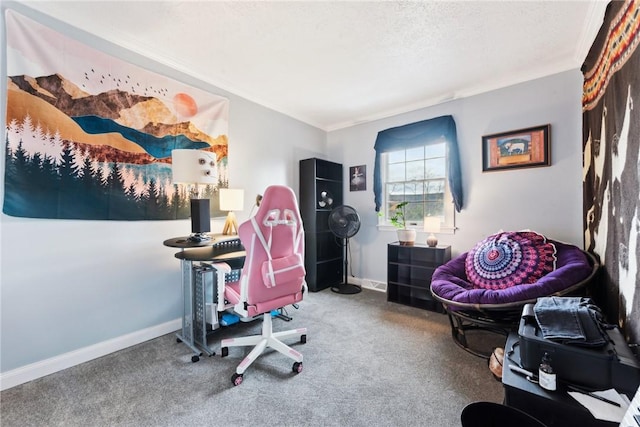 carpeted office space featuring baseboards and a textured ceiling