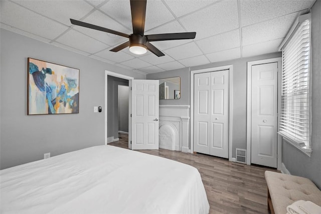 bedroom featuring multiple closets, a paneled ceiling, visible vents, ceiling fan, and wood finished floors