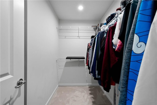 walk in closet featuring carpet floors