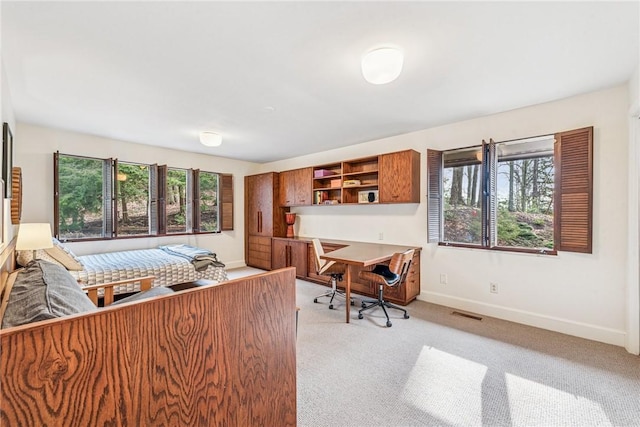 interior space with light carpet, visible vents, and baseboards