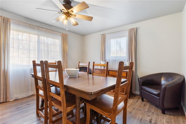 dining area with ceiling fan and light wood-style floors