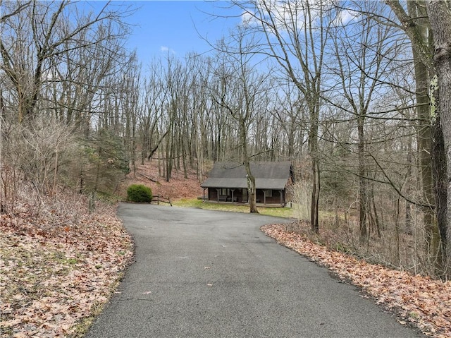 view of front of property featuring driveway