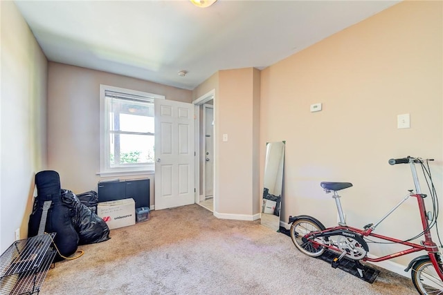 misc room with carpet floors and baseboards