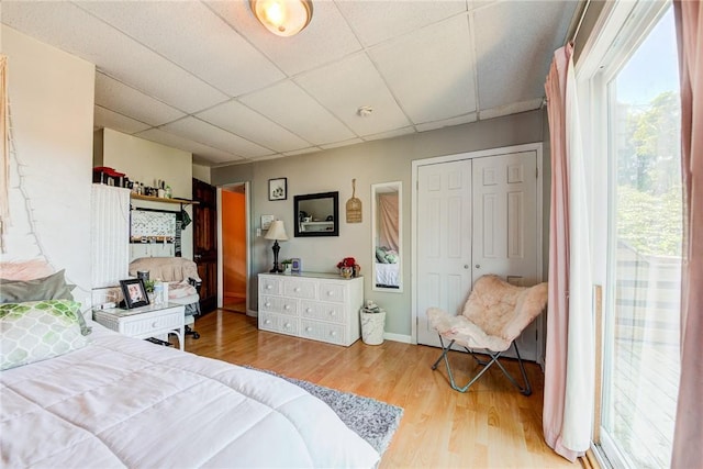 bedroom featuring a closet, baseboards, a drop ceiling, and wood finished floors