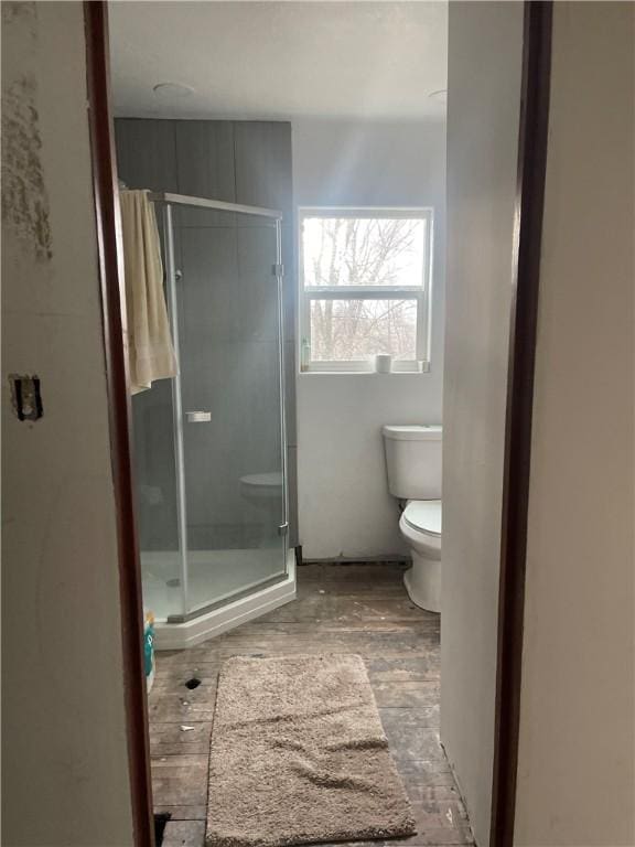 bathroom with toilet and a stall shower