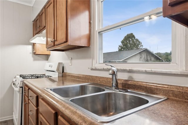 kitchen featuring white gas stove, brown cabinetry, under cabinet range hood, and a sink