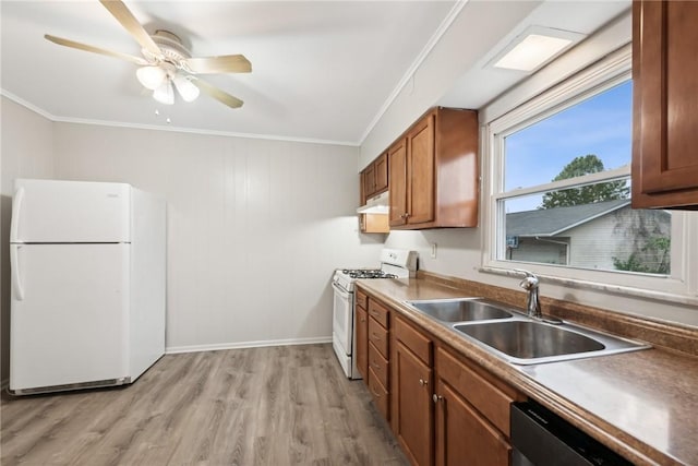 kitchen featuring white appliances, brown cabinetry, ornamental molding, a sink, and under cabinet range hood