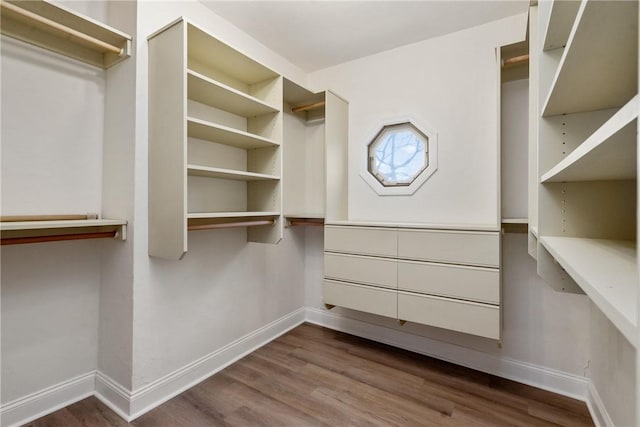 spacious closet with dark wood-type flooring