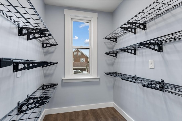 spacious closet featuring dark wood-style floors