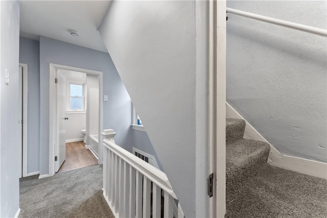 stairway featuring visible vents and carpet floors