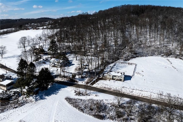 view of snowy aerial view