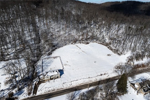 view of snowy aerial view