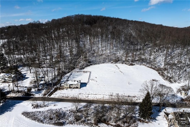 snowy aerial view with a forest view