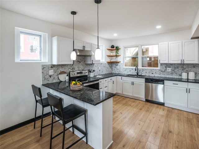 kitchen with stainless steel appliances, decorative backsplash, a sink, a peninsula, and under cabinet range hood