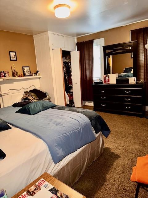 bedroom with a closet and carpet flooring