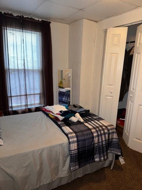 carpeted bedroom with a closet and a drop ceiling