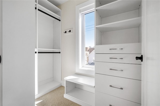 spacious closet featuring light carpet