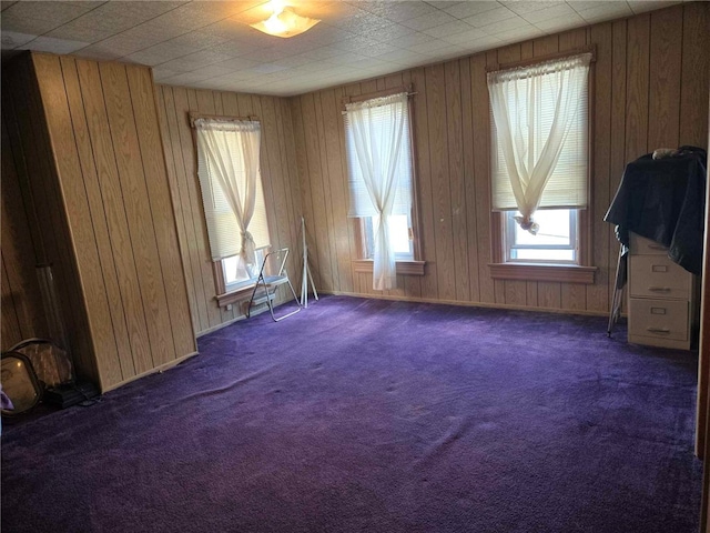 202 Central Ave, Chicora Boro, PA 16025 - unfurnished room featuring carpet, plenty of natural light, and wood walls