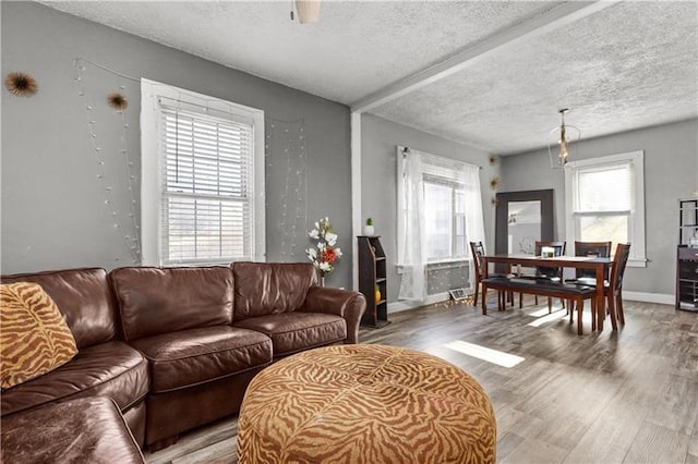 living area with a textured ceiling, wood finished floors, and a healthy amount of sunlight