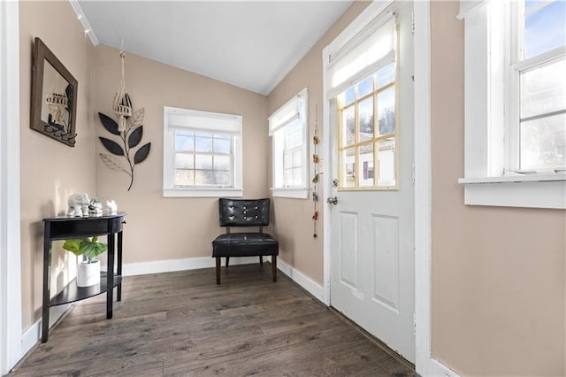 doorway with lofted ceiling, dark wood-style flooring, and baseboards