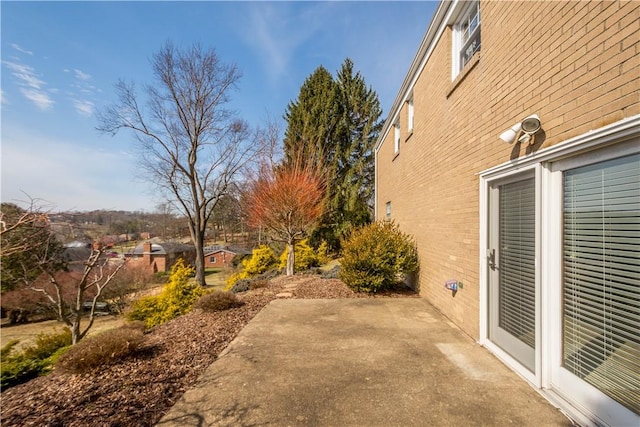 view of yard featuring a patio