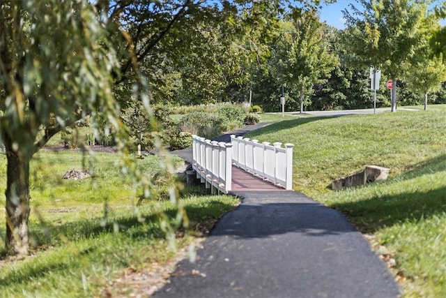 view of home's community with a yard