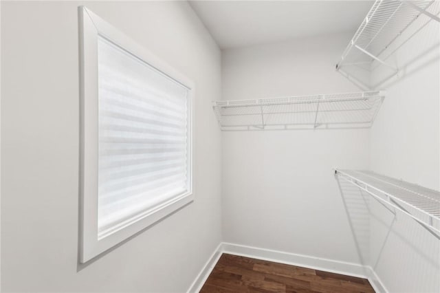 spacious closet with dark wood-style floors