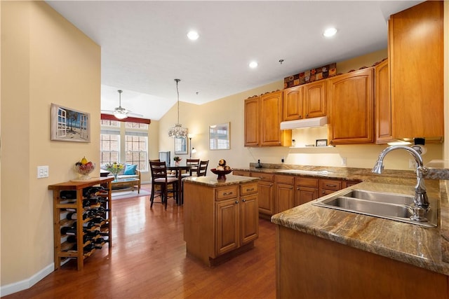kitchen with wood finished floors, a kitchen island, under cabinet range hood, and a sink