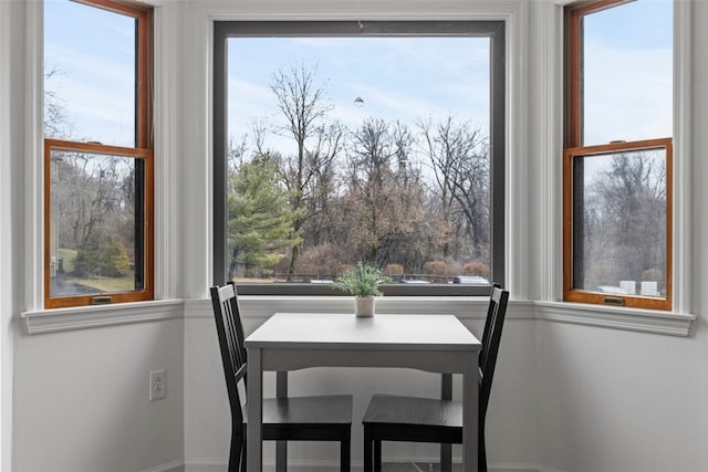 dining room with a wealth of natural light