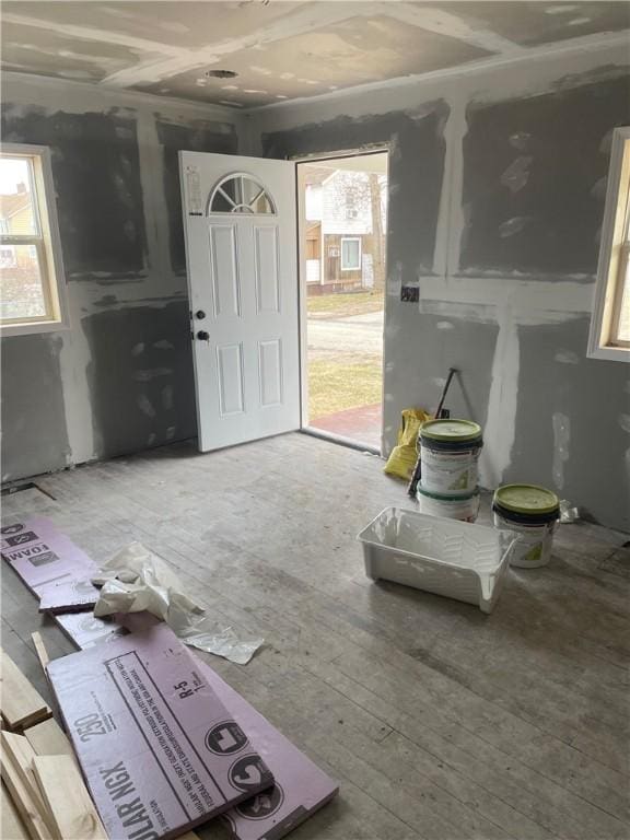 foyer entrance with wood-type flooring