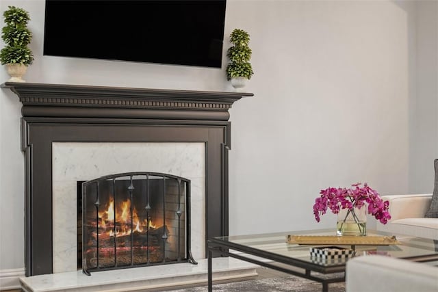 interior details with a premium fireplace