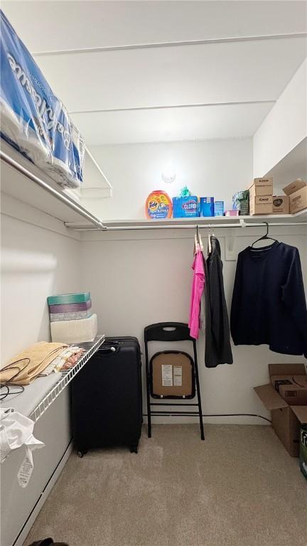 spacious closet featuring carpet floors