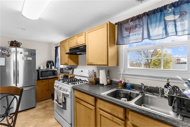 kitchen with appliances with stainless steel finishes, dark countertops, a sink, and under cabinet range hood