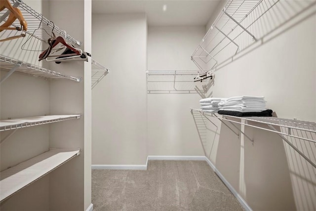 walk in closet with carpet