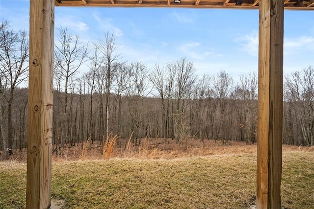 view of nature featuring a wooded view