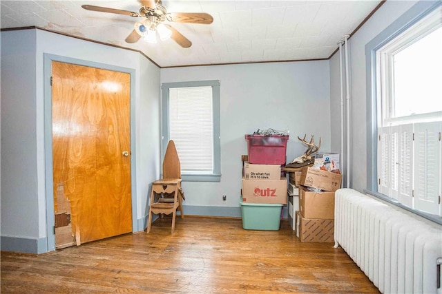 interior space with radiator heating unit and ceiling fan