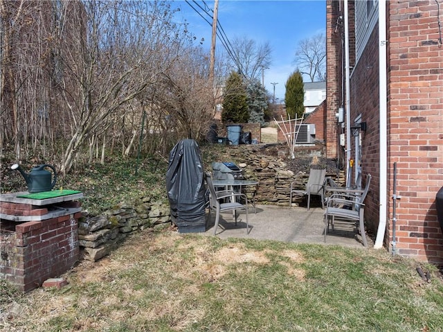 view of yard featuring a patio